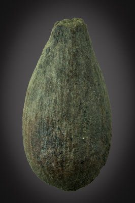 Spinifructus antiquus, palm fruit, 43 mm long, Hell Creek Formation, Upper Cretaceous, Carter County, Montana, USA