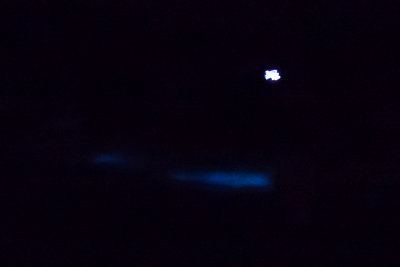 Pyrodinium bahamense kayak light.jpg