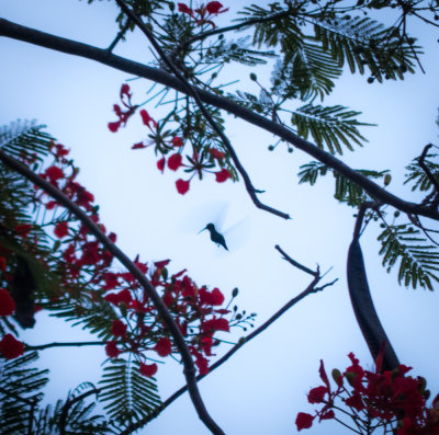 Puerto Rico