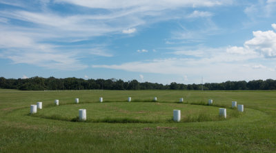 Poverty Point Plaza circles