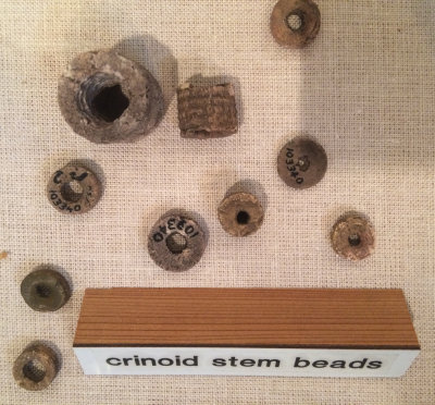 Poverty Point fossil crinoid beads