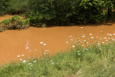 Chocolate river