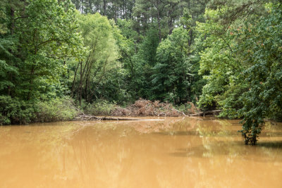 Chocolate river