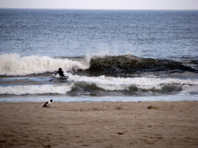 Waves and surfer on the Beach in Belmar NJ