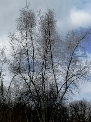 g9/42/1035742/3/153961242.y6GzeVTe.jpg
