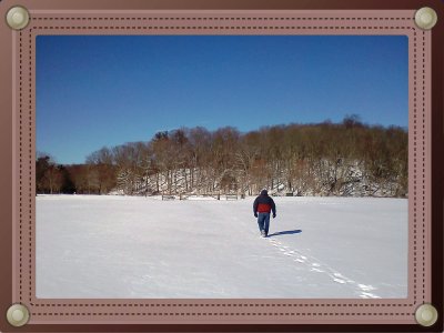 A Long Walk Home