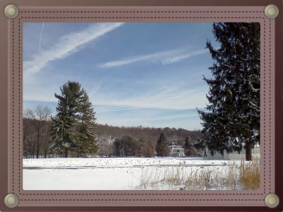 Cold Winter Walk