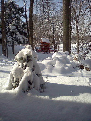 Snowed In
