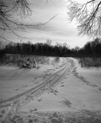 Cross Roads