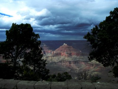 Grand Canyon South Rim framed by pinyon-junipers
