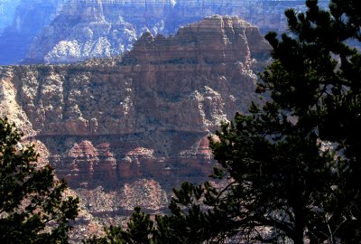 Grand Canyon South Rim Vista
