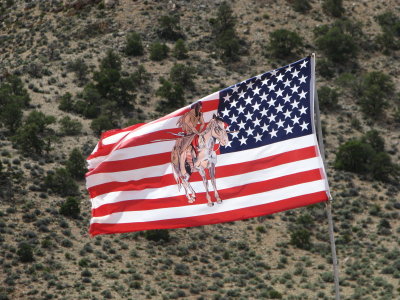 Navajo Indian Reservation Flag