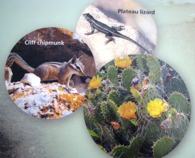 Brochures from the Visitor Center