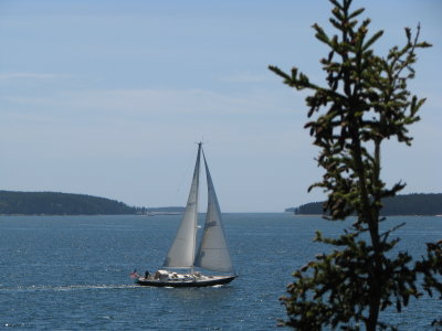 Sailing on Frenchman Bay
