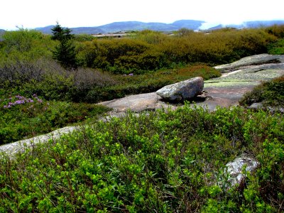 Large Square Boulder on top of Mount Cadillac