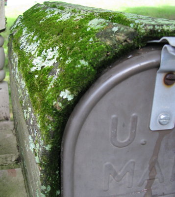 Mossy Mail Box