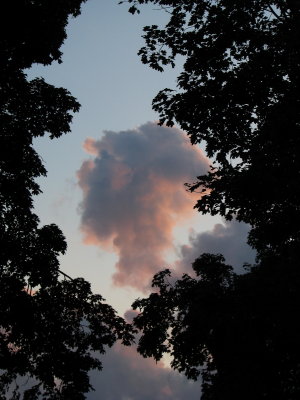 Night Sky over the Terrace