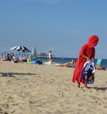 The Shell Collector