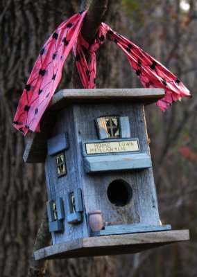 Bird House in the Woods
