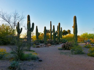 A Nature Park Outside of Phoenix