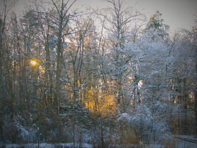 Late Winter Day