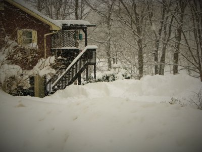 The Never Ending Winter