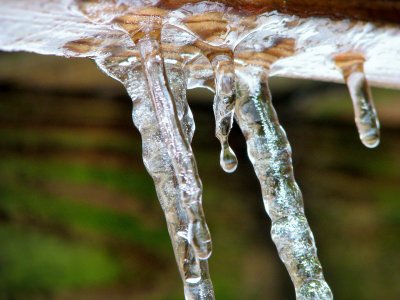 The Constant Drip - Winter 2014-2015