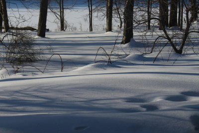 Winter March 2015