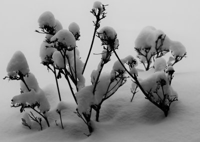 g9/42/1035742/3/159444288.iMcPJeh0.jpg
