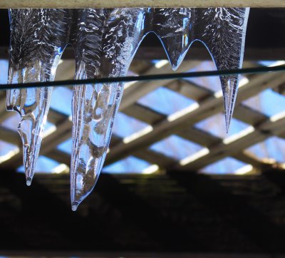 Gutter Shark Teeth
