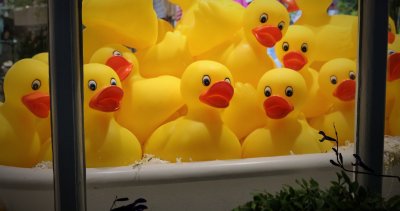 Store Window Decor
