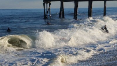 Surfers Heaven