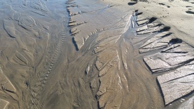Low Tide
