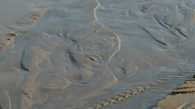 Sand Art by Mother Nature