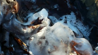 Caught in the Freeze