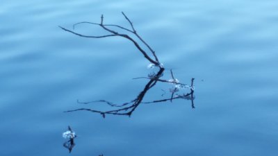 g9/42/1035742/3/162275988.hKyIpyeQ.jpg