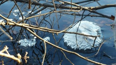 Icy Pancake 