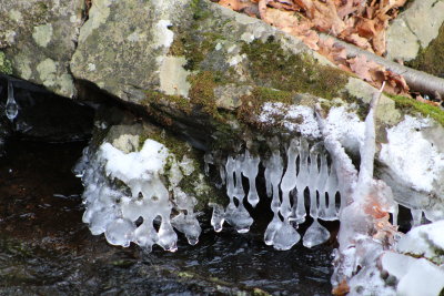 Icy Bells above Running Water