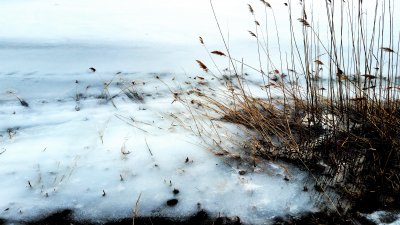 Winter 2015/2016 Frozen Pond