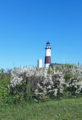 Montauk Lighthouse in Spring ll