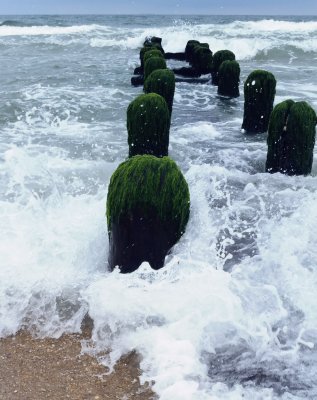 Green Wig On Pylon