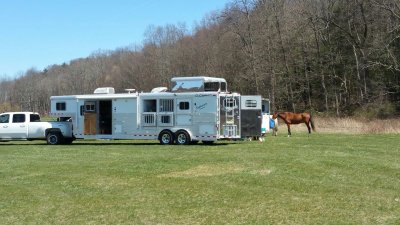 Fancy Horse Carrier