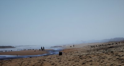 Low Tide - End of Summer