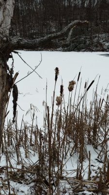 It is bitterly cold