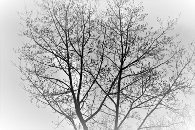 In The Dead of Winter