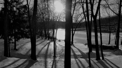 Long Shadows