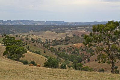 Adelaide Hills. South Australia.