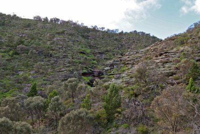 Mt Wedge. South Australia