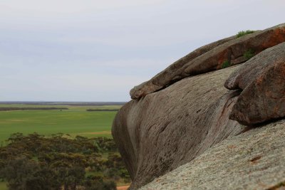 Pildappa Rock, Eyre Peninsula