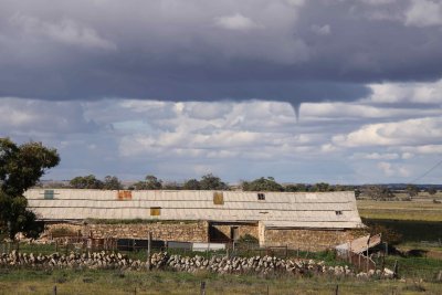 Old Shearing Shed with small Tornado in the background.